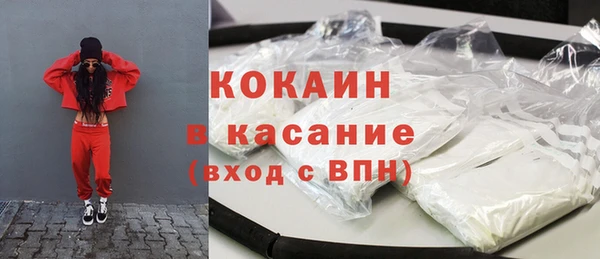 эйфоретик Няндома