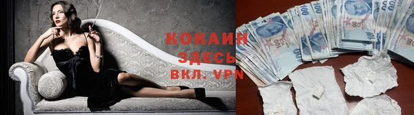 шишки Нягань