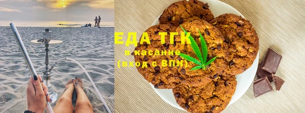 эйфоретик Няндома