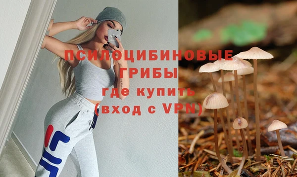 мяу мяу мука Шали