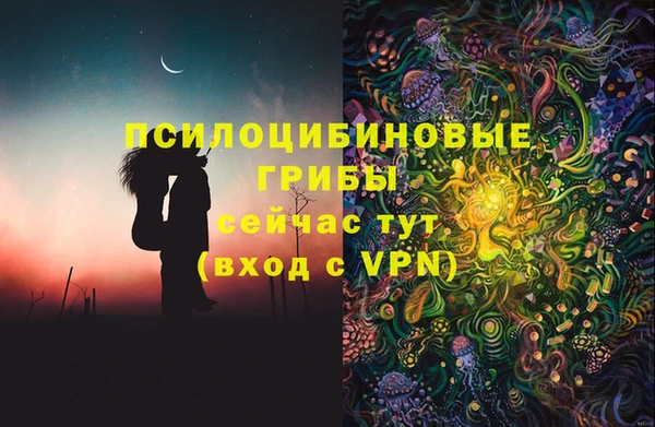 шишки Нягань