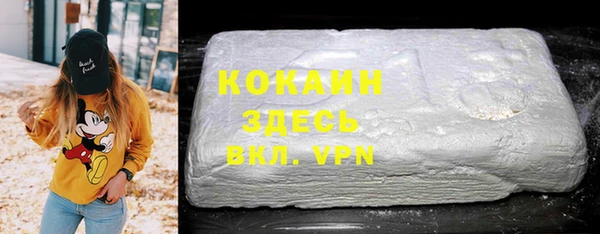 шишки Нягань