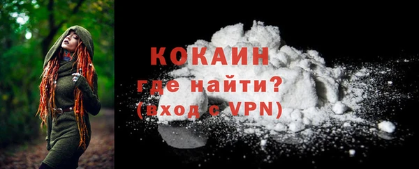 шишки Нягань