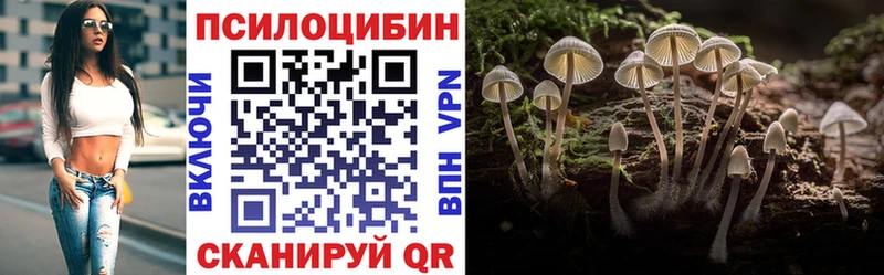 закладка  Ахтубинск  мориарти Telegram  Псилоцибиновые грибы Cubensis 