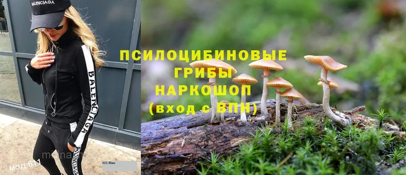 купить закладку  Ахтубинск  Галлюциногенные грибы прущие грибы 