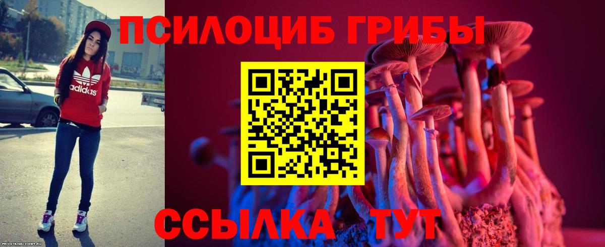 закладка  Ахтубинск  Галлюциногенные грибы мицелий  Галлюциногенные грибы GOLDEN TEACHER 